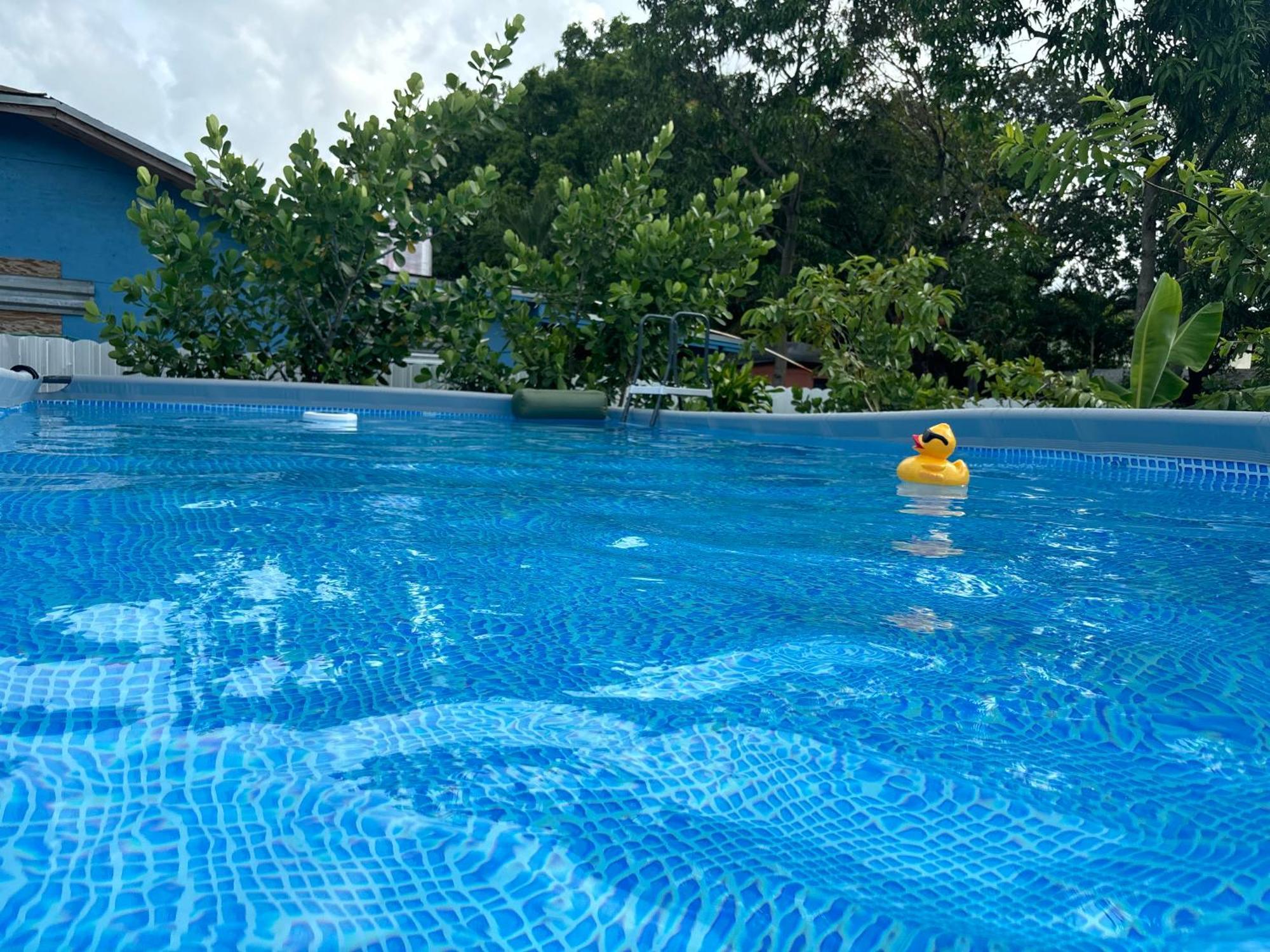 Mini House Oasis Hotel Miami Springs ภายนอก รูปภาพ